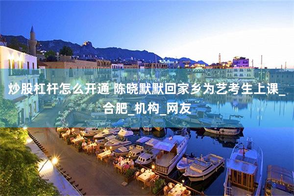 炒股杠杆怎么开通 陈晓默默回家乡为艺考生上课_合肥_机构_网友