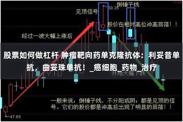 股票如何做杠杆 肿瘤靶向药单克隆抗体：利妥昔单抗，曲妥珠单抗！_癌细胞_药物_治疗