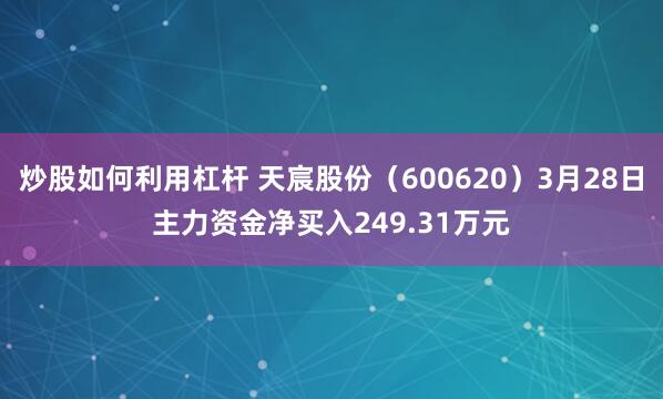 炒股如何利用杠杆 天宸股份（600620）3月28日主力资金净买入249.31万元