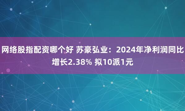 网络股指配资哪个好 苏豪弘业：2024年净利润同比增长2.38% 拟10派1元