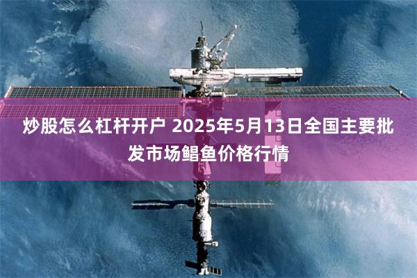 炒股怎么杠杆开户 2025年5月13日全国主要批发市场鲳鱼价格行情