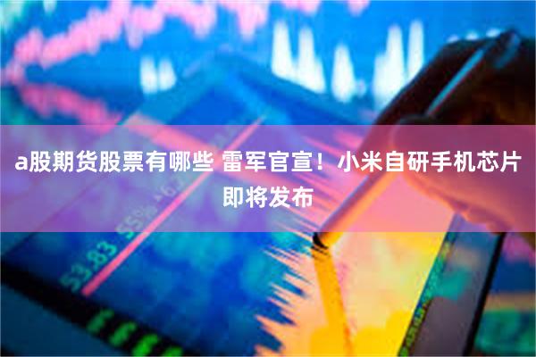 a股期货股票有哪些 雷军官宣！小米自研手机芯片即将发布