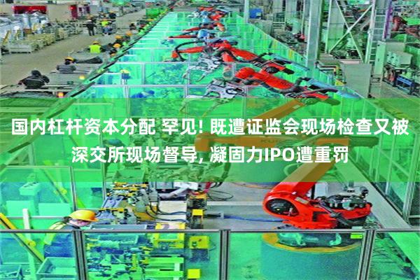 国内杠杆资本分配 罕见! 既遭证监会现场检查又被深交所现场督导, 凝固力IPO遭重罚
