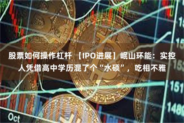 股票如何操作杠杆 【IPO进展】岷山环能：实控人凭借高中学历混了个“水硕”，吃相不雅