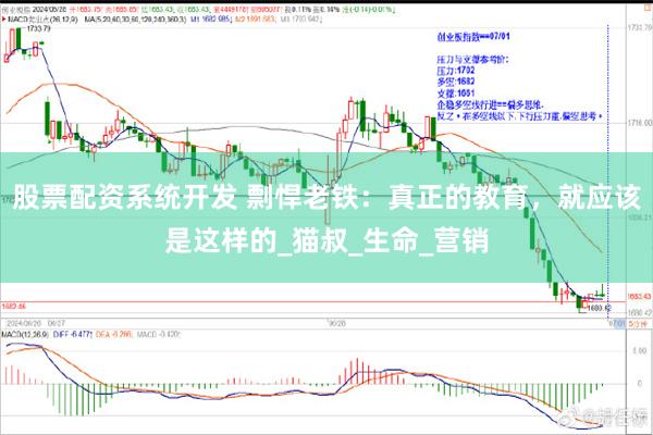 股票配资系统开发 剽悍老铁：真正的教育，就应该是这样的_猫叔_生命_营销