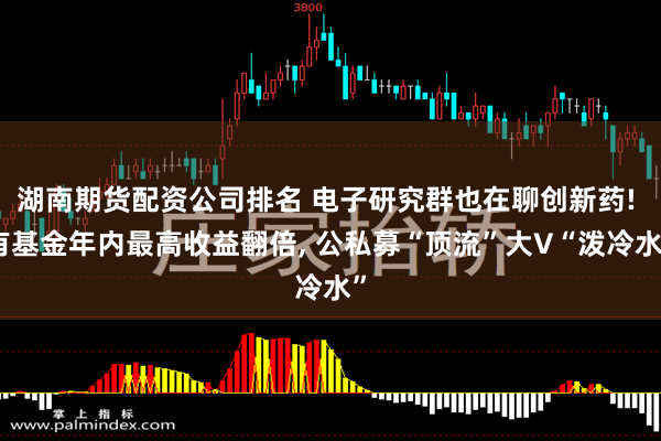 湖南期货配资公司排名 电子研究群也在聊创新药! 有基金年内最高收益翻倍, 公私募“顶流”大V“泼冷水”