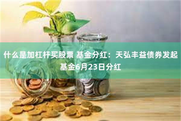 什么是加杠杆买股票 基金分红：天弘丰益债券发起基金6月23日分红