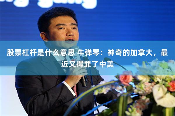 股票杠杆是什么意思 牛弹琴：神奇的加拿大，最近又得罪了中美