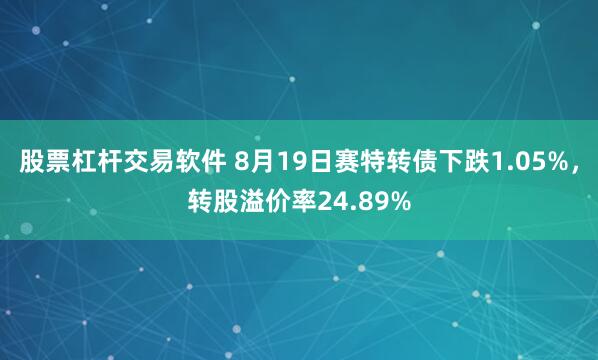 股票杠杆交易软件 8月19日赛特转债下跌1.05%，转股溢价率24.89%