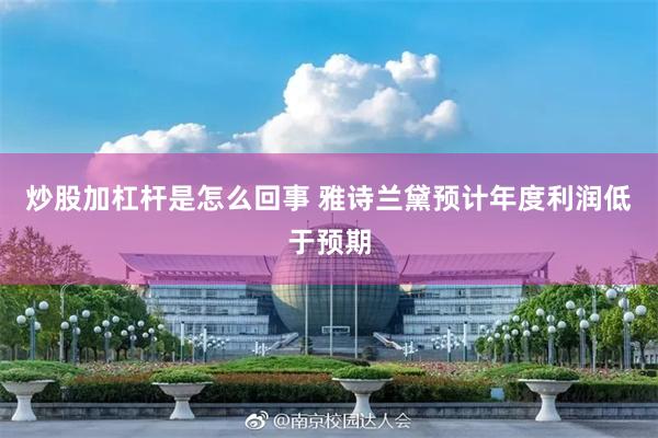 炒股加杠杆是怎么回事 雅诗兰黛预计年度利润低于预期