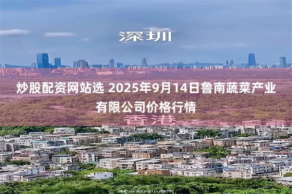 炒股配资网站选 2025年9月14日鲁南蔬菜产业有限公司价格行情