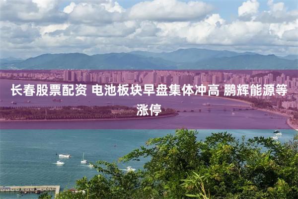 长春股票配资 电池板块早盘集体冲高 鹏辉能源等涨停